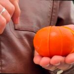 В Абхазии представлен новый сорт цитрусовых — миннеолу