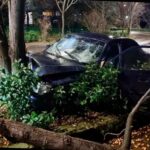 В Сочи подросток на машине протаранил дерево