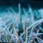 Шторм, снег и гололед: погода в Сочи на 26 февраля